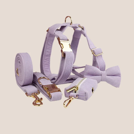 Personalized Pet ID Collar, Harness Leash & Accessories Set Lilac Corduroy