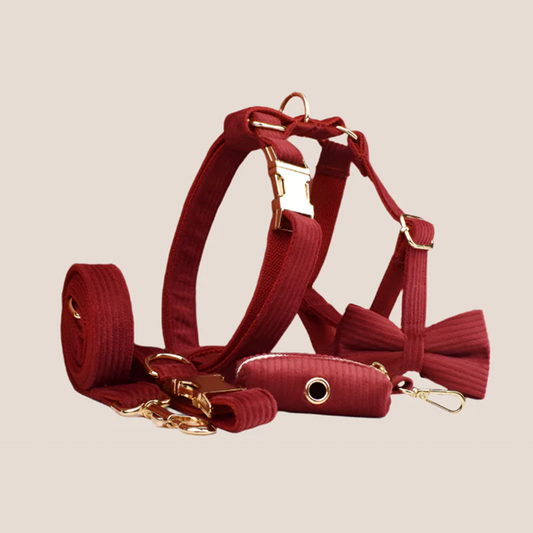 Personalized Pet ID Collar, Harness Leash & Accessories Set Maroon Corduroy