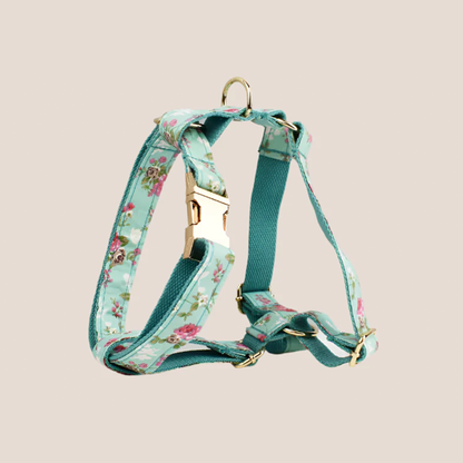 Personalized Pet ID Collar, Harness Leash & Accessories Set Mint Floral