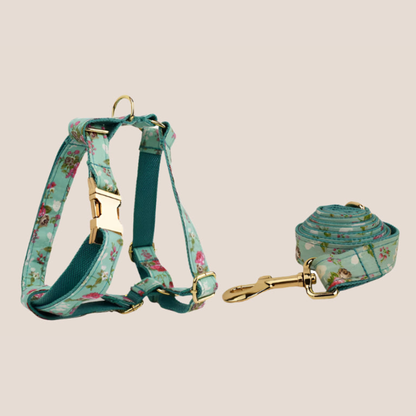 Personalized Pet ID Collar, Harness Leash & Accessories Set Mint Floral