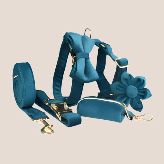 Ocean Blue Velvet Engraved Pet Set