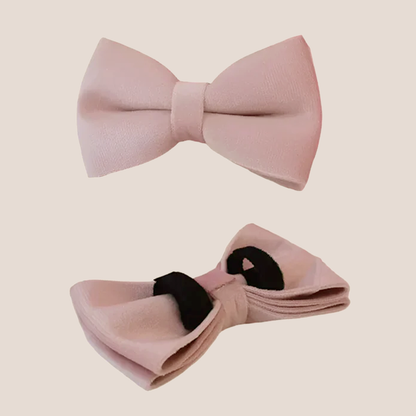 Personalized Pet ID Collar, Harness Leash & Accessories Set Pale Pink Velvet