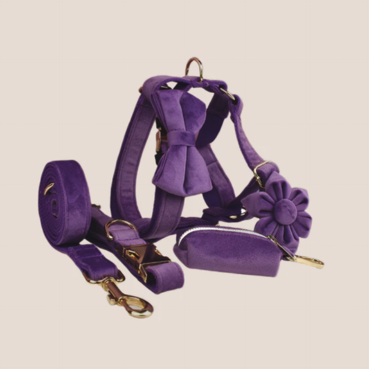 Purple Velvet Engraved Pet Set
