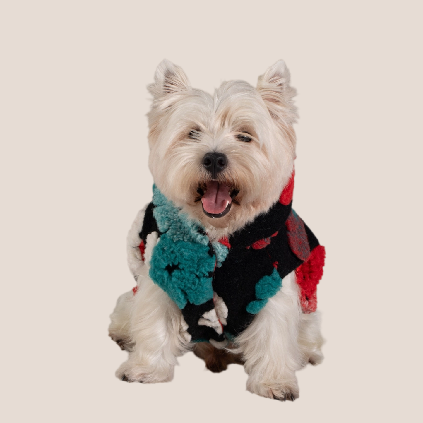 Reversible - Patent & Floral Teddy Puffer