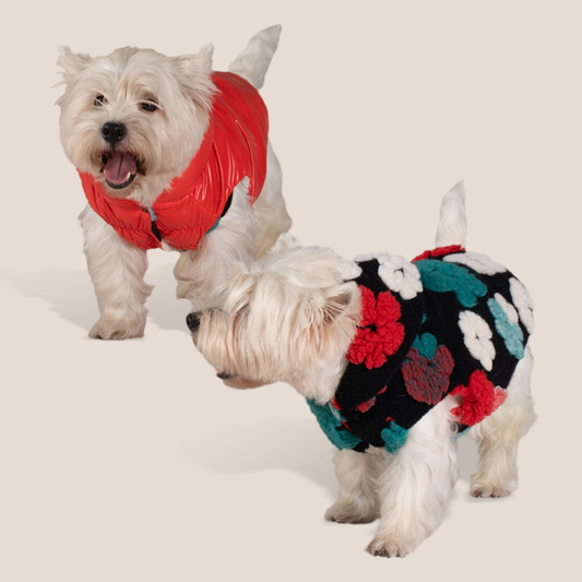 Reversible - Patent & Floral Teddy Puffer