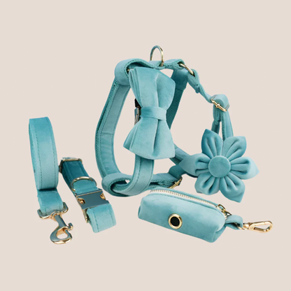 Turquoise Velvet Engraved Pet Set