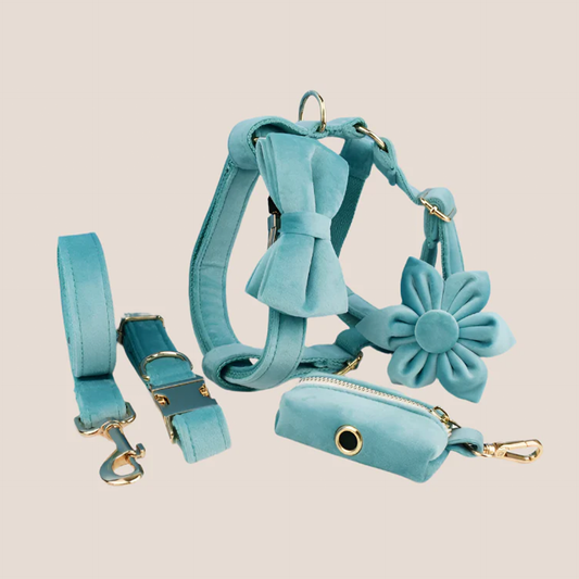 Turquoise Velvet Engraved Pet Set