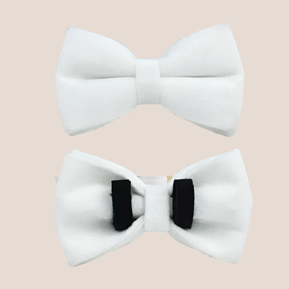 White Velvet Engraved Pet Set