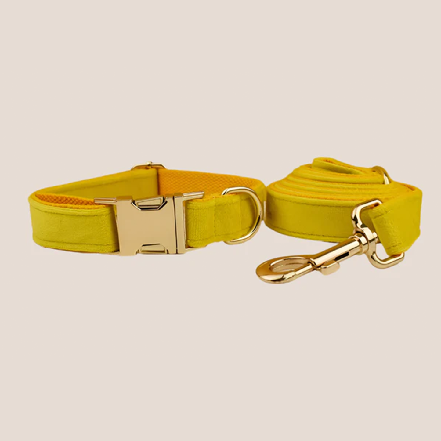 Personalized Pet ID Collar, Harness Leash & Accessories Set Yellow Velvet