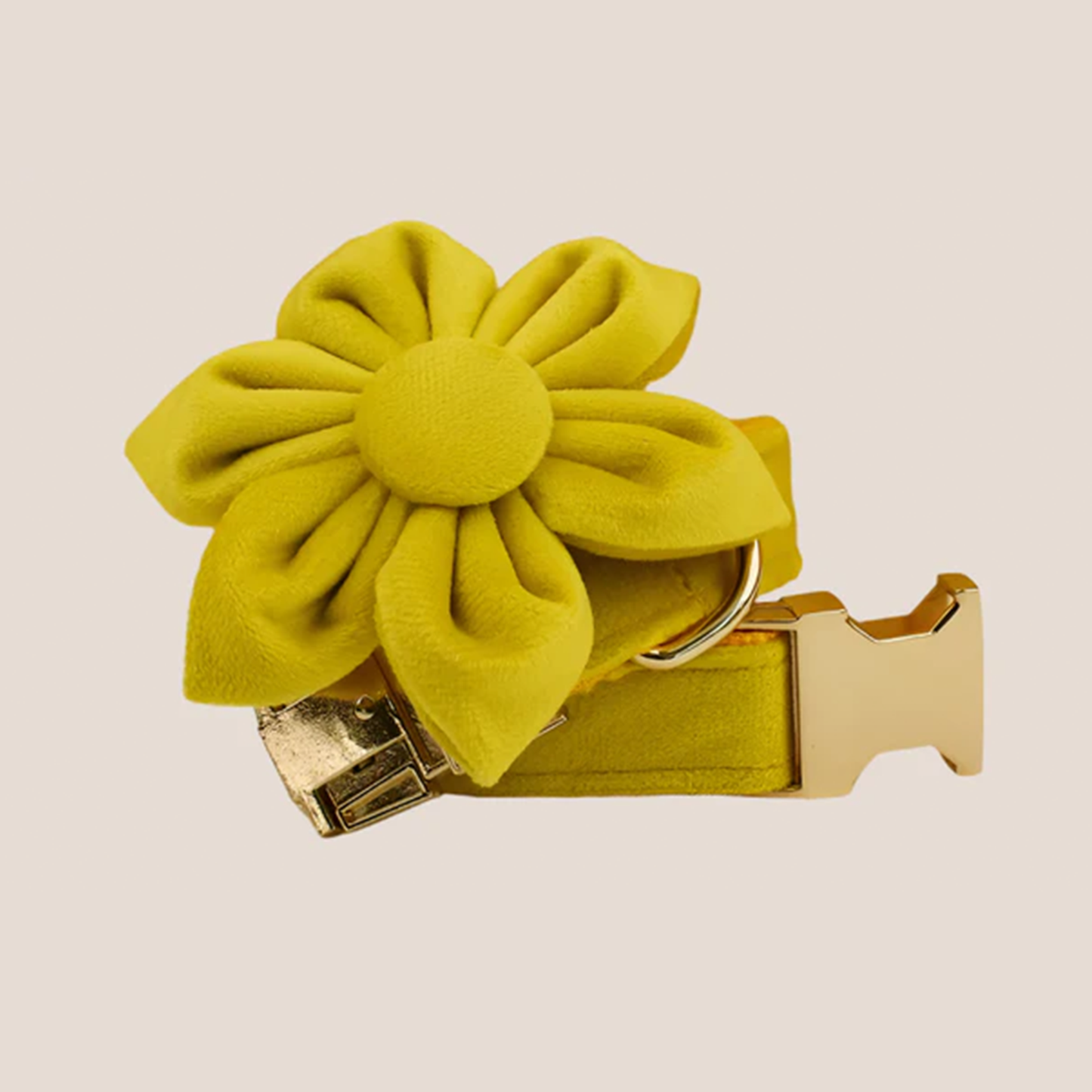 Personalized Pet ID Collar, Harness Leash & Accessories Set Yellow Velvet