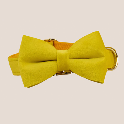 Personalized Pet ID Collar, Harness Leash & Accessories Set Yellow Velvet