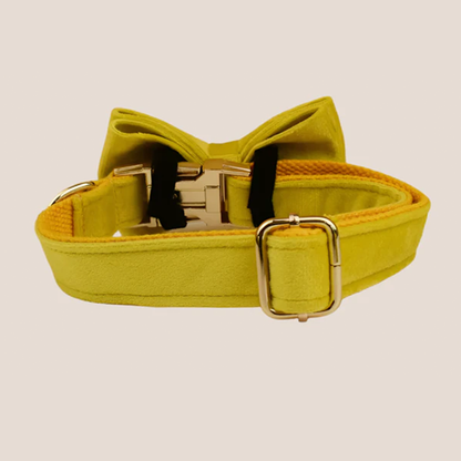 Personalized Pet ID Collar, Harness Leash & Accessories Set Yellow Velvet