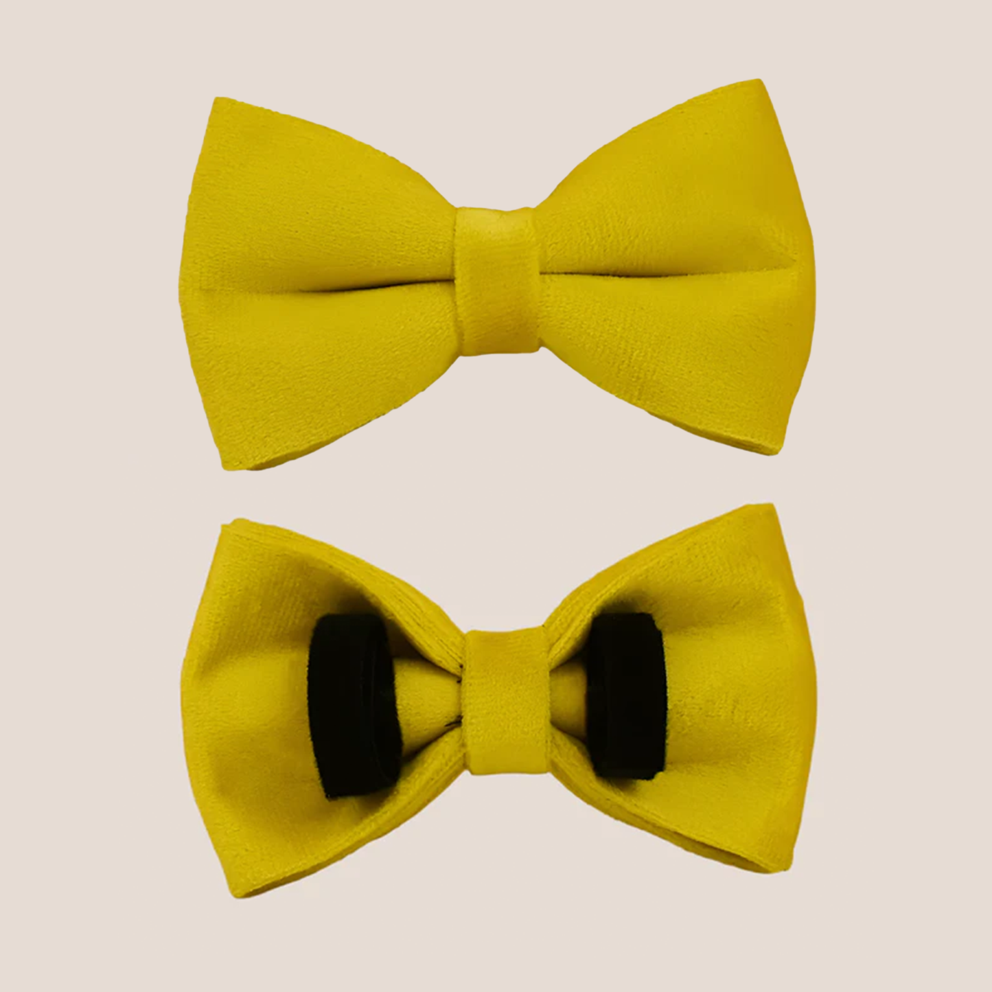 Personalized Pet ID Collar, Harness Leash & Accessories Set Yellow Velvet