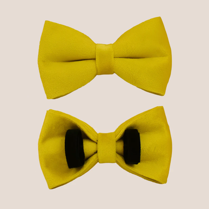 Personalized Pet ID Collar, Harness Leash & Accessories Set Yellow Velvet