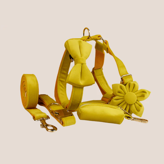 Personalized Pet ID Collar, Harness Leash & Accessories Set Yellow Velvet