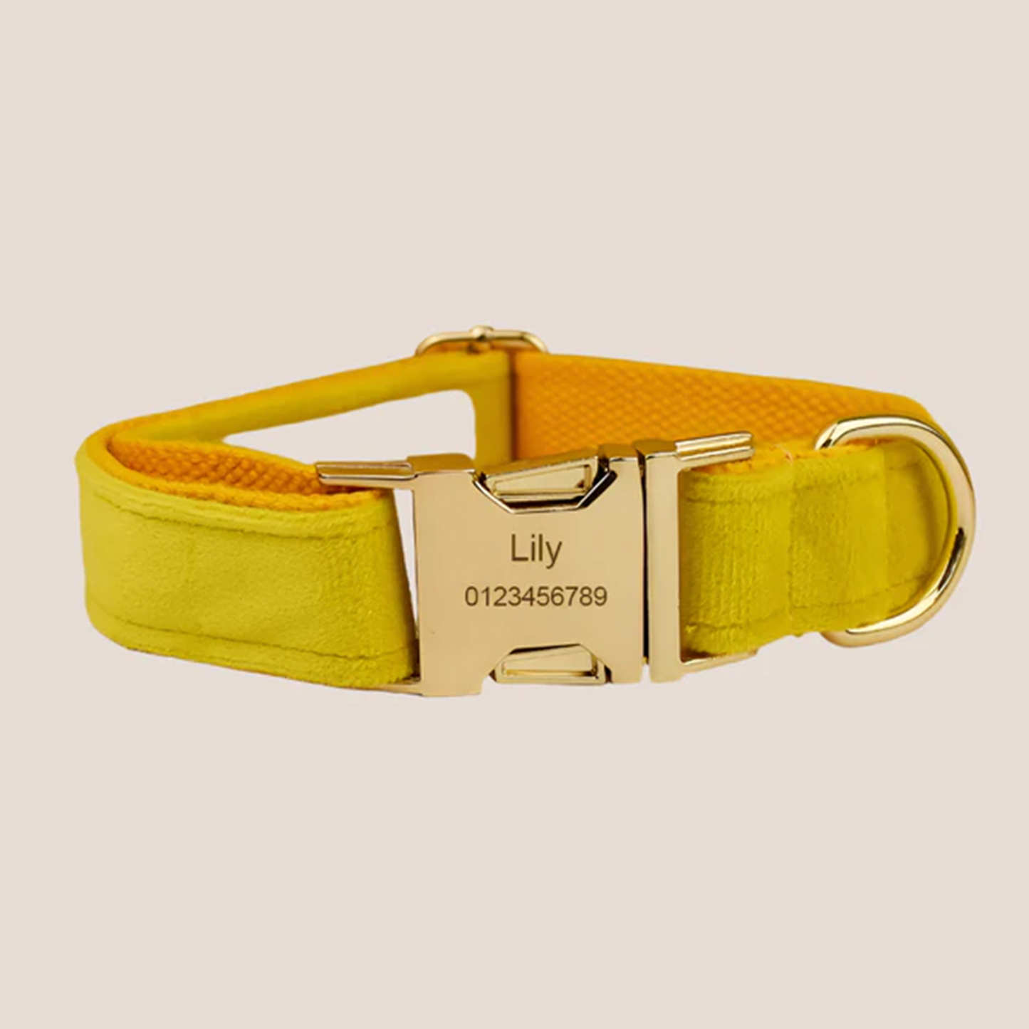Personalized Pet ID Collar, Harness Leash & Accessories Set Yellow Velvet